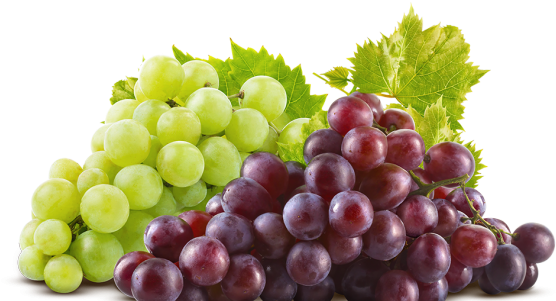 Sazonalidade - Grapeseed Oil From Majestic Pure, 100% Pure (570x300), Png Download