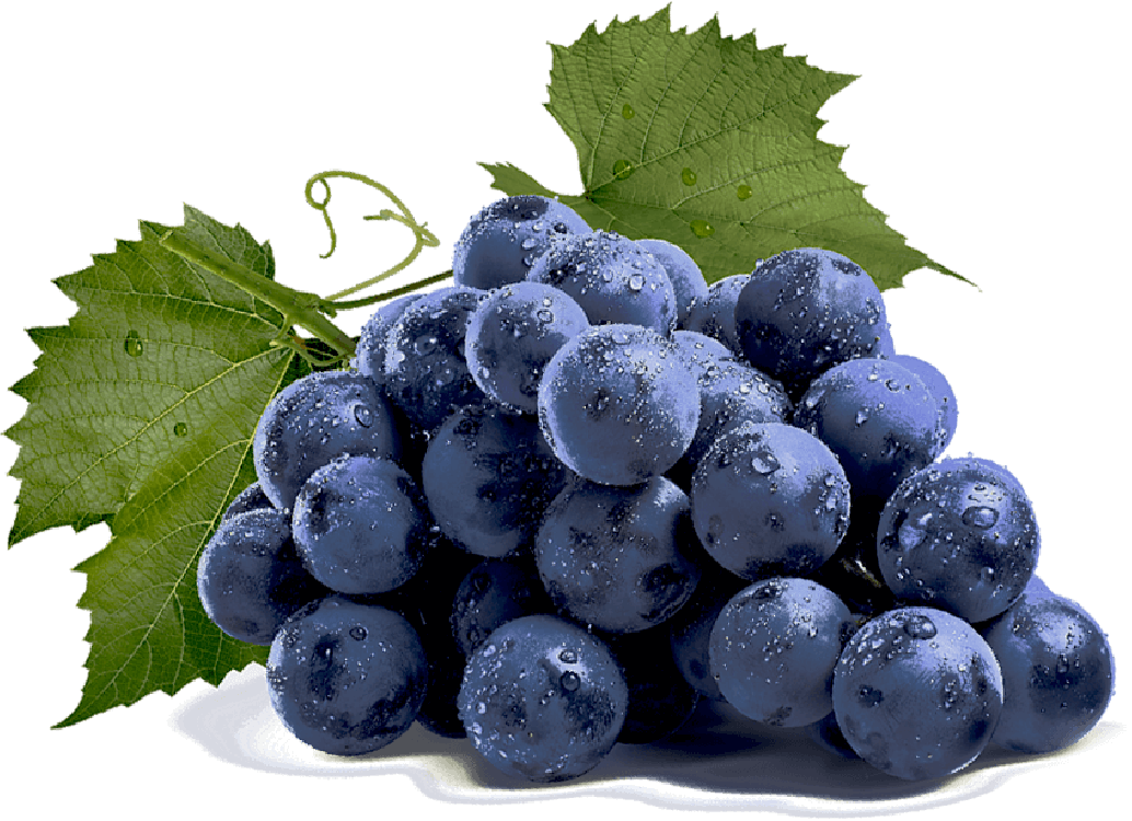 Related Wallpapers - Exprimidora Mecánica 6 L (1034x750), Png Download