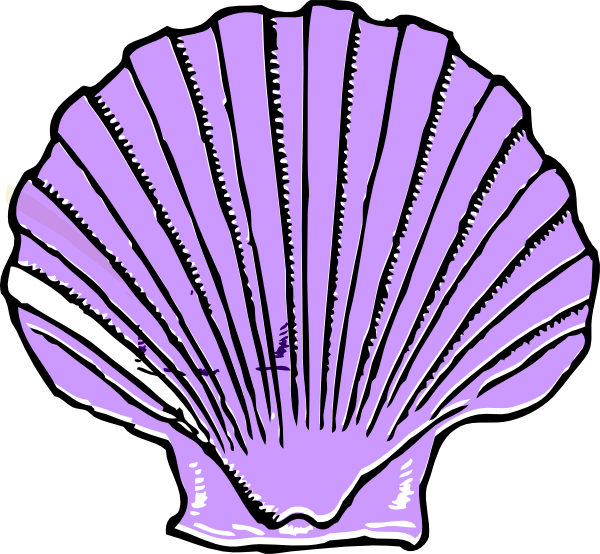 Download Free Printable Clipart And Coloring Pages - Purple Shell Clipart (600x554), Png Download