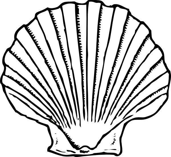 Sea Shell Silhouette At Getdrawings Com Free - Seashell Black And White (600x549), Png Download