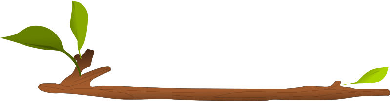 Branch Clipart Twig Pencil And In Color Branch Clipart - Ramo Clipart (800x221), Png Download