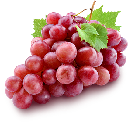 Uva - Red Grapes (450x420), Png Download