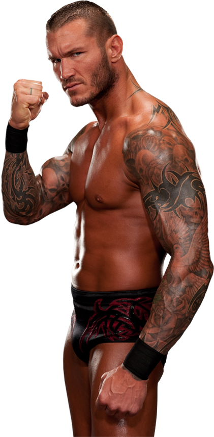 Randy Orton Png Pic - Wwe Randy Orton 2011 (421x857), Png Download