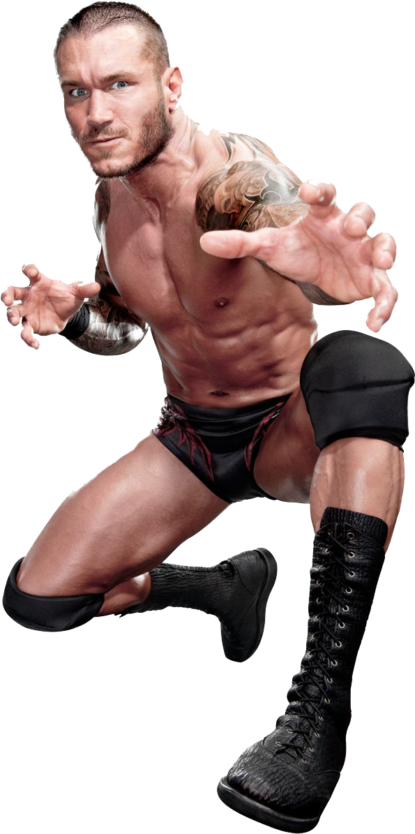 Randy Orton Png - Randy Orton .png (596x1201), Png Download