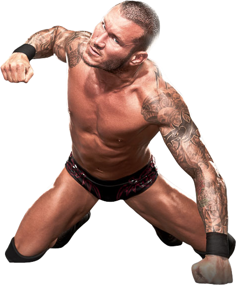 Randy Orton Wwe Raw Theme Song - Randy Orton Rko Render (471x568), Png Download