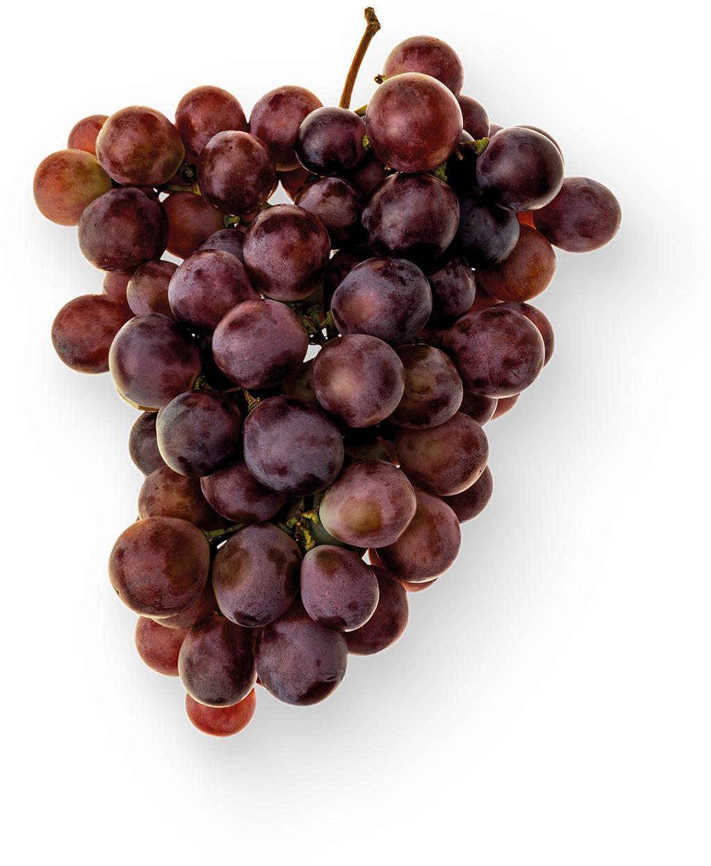 100% Uvas Españolas De Agricultura Ecológica - Seedless Fruit (1500x1500), Png Download