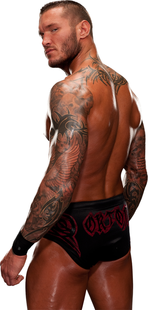 Randy Orton Download Png - Randy Orton Png (490x1024), Png Download