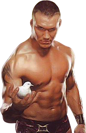 Randy Orton Images - No Mercy Randy Orton (300x434), Png Download