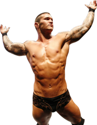Randy Orton - Randy Orton Rko Clip Art (309x400), Png Download