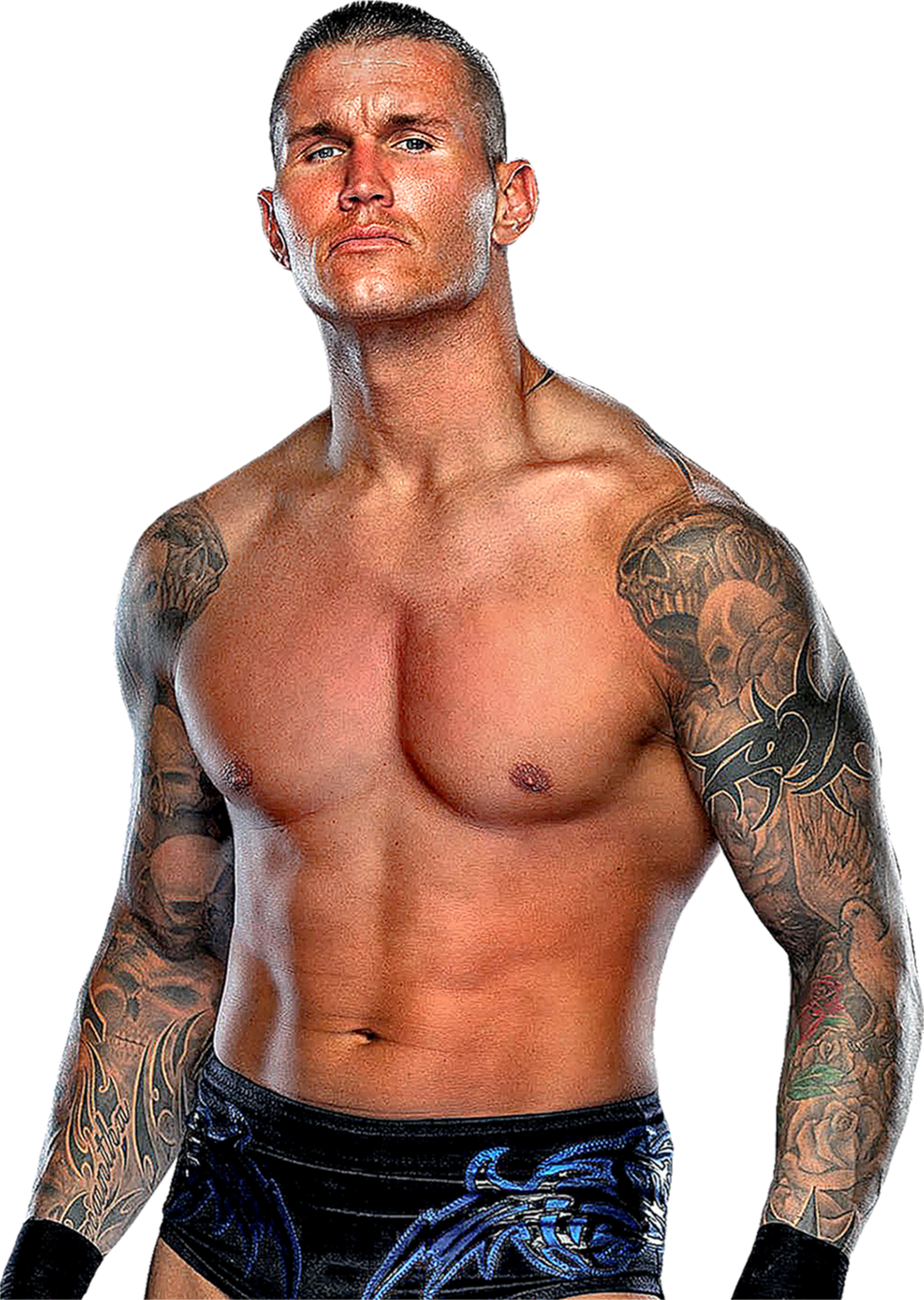 Search - Randy Orton Tattoo Wallpaper Hd 2016 (1024x1441), Png Download