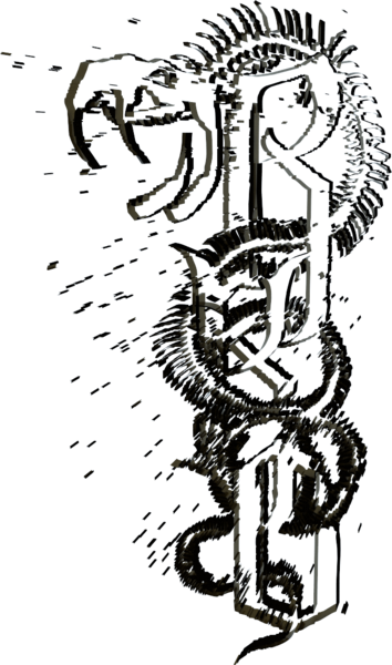 Share This Image - Randy Orton (354x600), Png Download