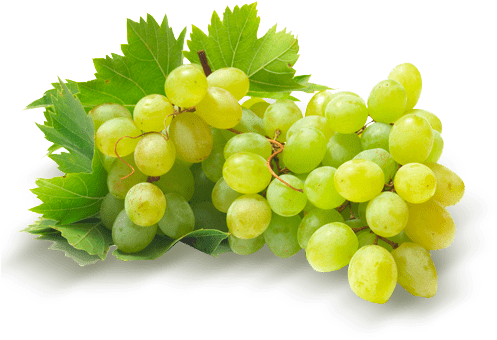 *los Productos Pueden Variar Por Temporadas - Fruta Uvas Verdes Peru (500x375), Png Download