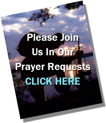 O God, Who Has Taught The Hearts Of The Faithful By - Toby Keith American Soldier (431x428), Png Download