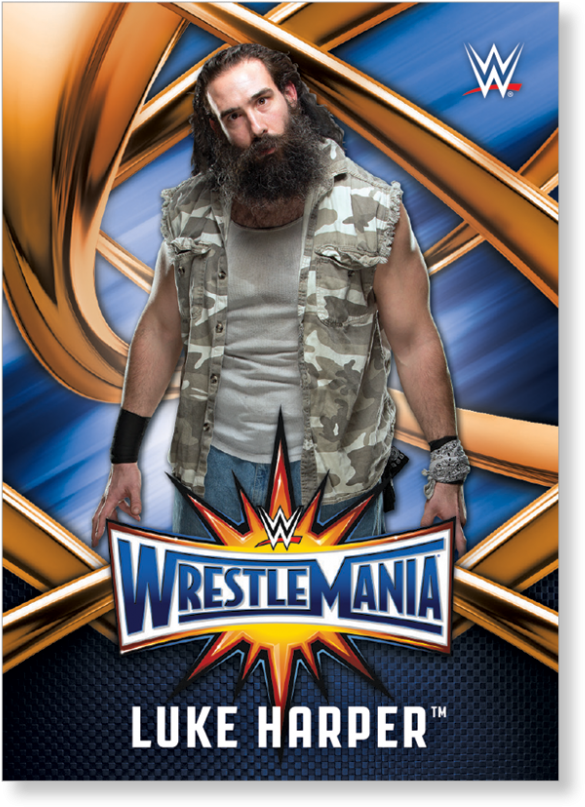 Luke Harper Wwe Road To Wrestlemania Roster Png Luke - Wwe Luke Harper 2017 (1440x975), Png Download