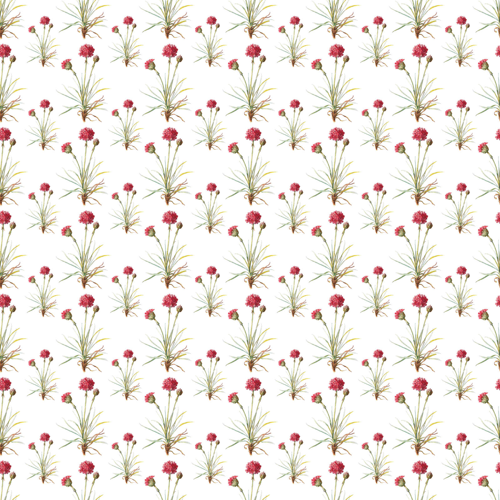 Digital Paper Overlay - Sierpinski Carpet (1600x1600), Png Download
