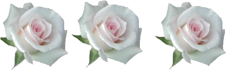 Flower, Myedit, Overlay, Rose, Transparent, Tumblr - Happy 30th Anniversary Card (500x375), Png Download