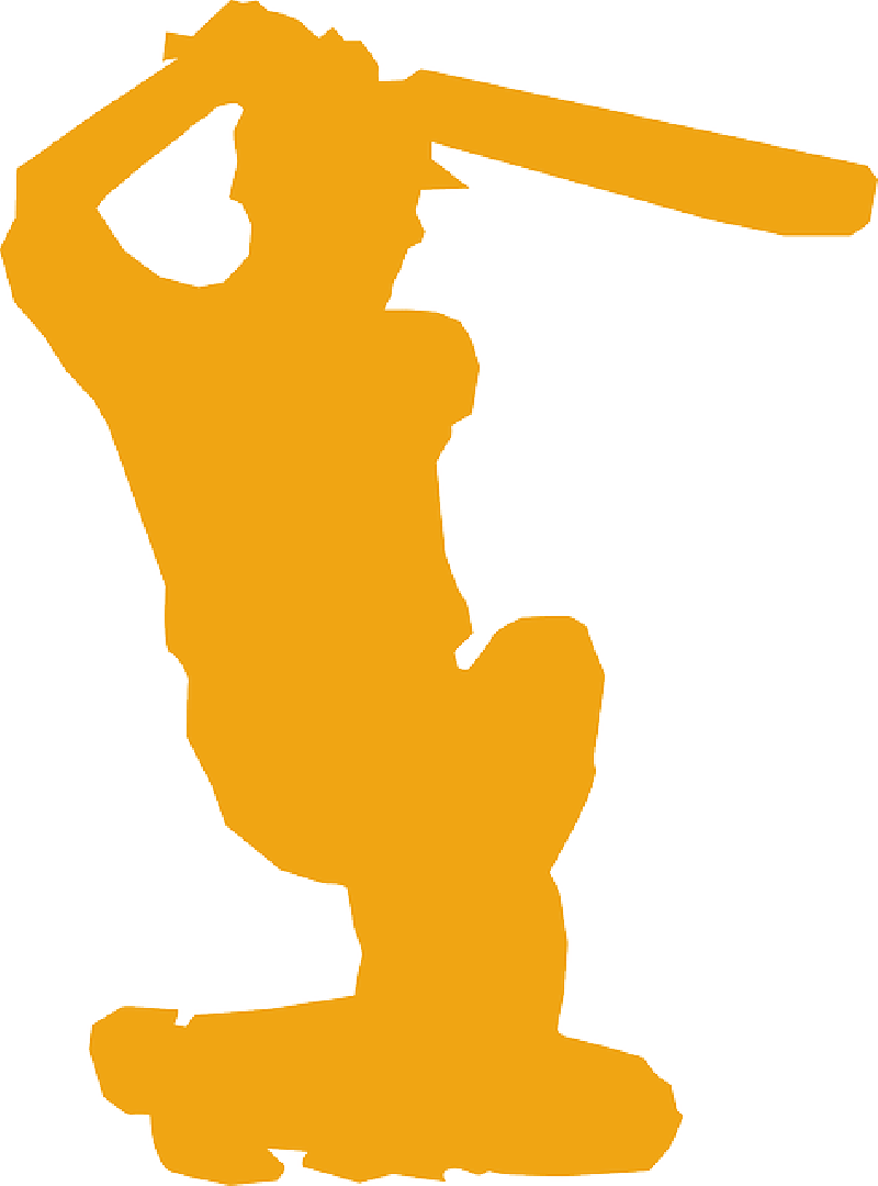 Multimedia - Cricket Player Vector Transparent (800x1080), Png Download