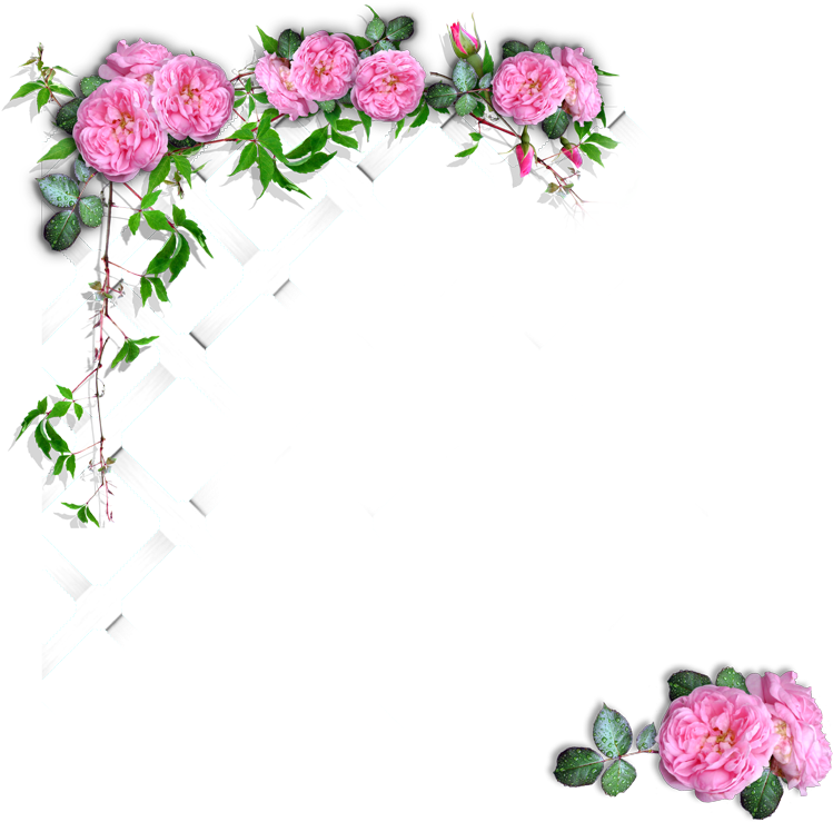 I Have Been Experimenting With Different Kinds Of Masks - Scrapbooking (800x779), Png Download