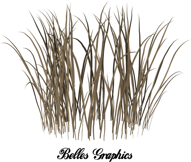Dead Grass Png - Beige Falling In Love (658x564), Png Download