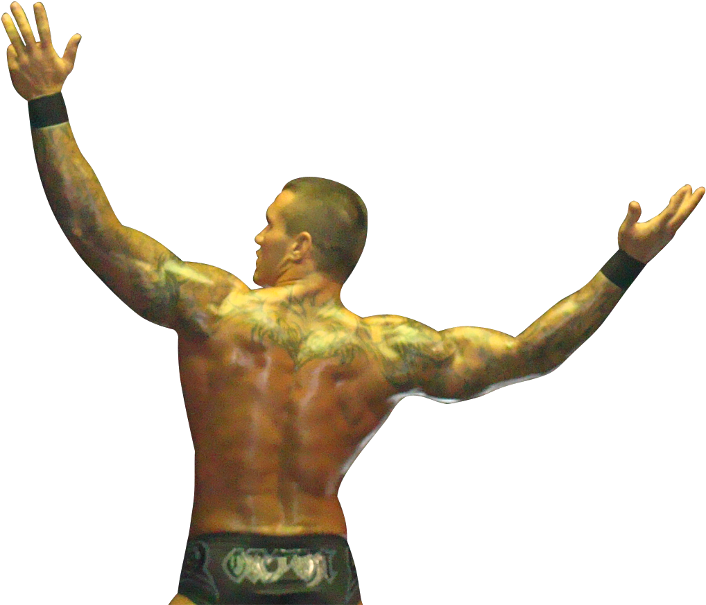 Randy Orton 2014 Png Download - Back Pictures Of Randy Orton (1024x877), Png Download