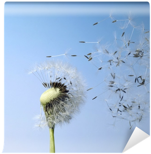 Photograph (400x400), Png Download