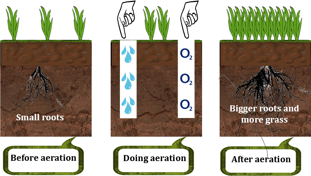 How Lawn Aerator Works - Lawn Aerator (1134x709), Png Download