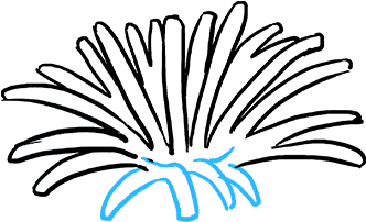 How To Draw Dandelion (680x678), Png Download