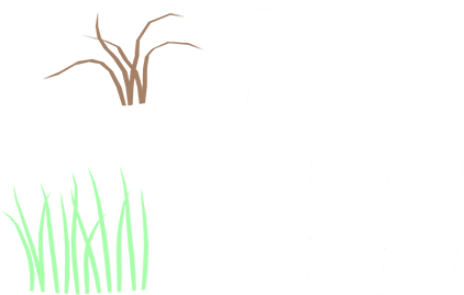 28 Grass Planes (437x280), Png Download