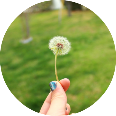 Blow It Away Let The Parasols Float Up And Out - Grass (400x400), Png Download