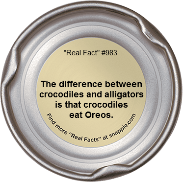 Tgif Dopeness 36 - Snapple Facts (373x372), Png Download