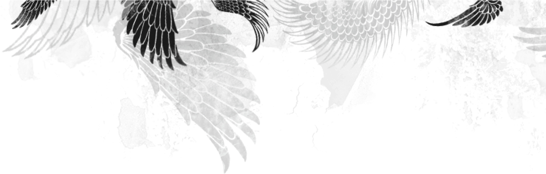 Cropped Wings Sakura Light E1398799142577 - Illustration (1920x600), Png Download