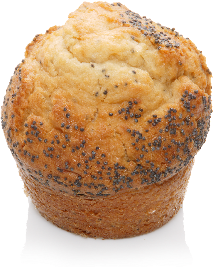 Muffin Lemon-poppyseed - Muffin (1024x1024), Png Download