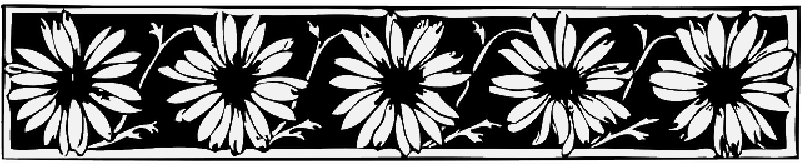 Mb Image/png - Flower Border Clipart Black (800x400), Png Download