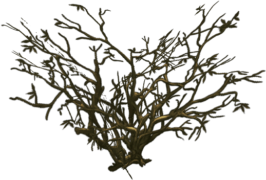 Low Poly Dead Tree Pack - Low Poly (1024x1024), Png Download