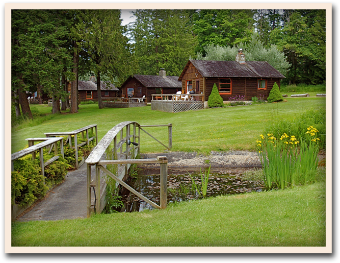 Water Front Cabins - Lonesome Cove Resort (750x563), Png Download