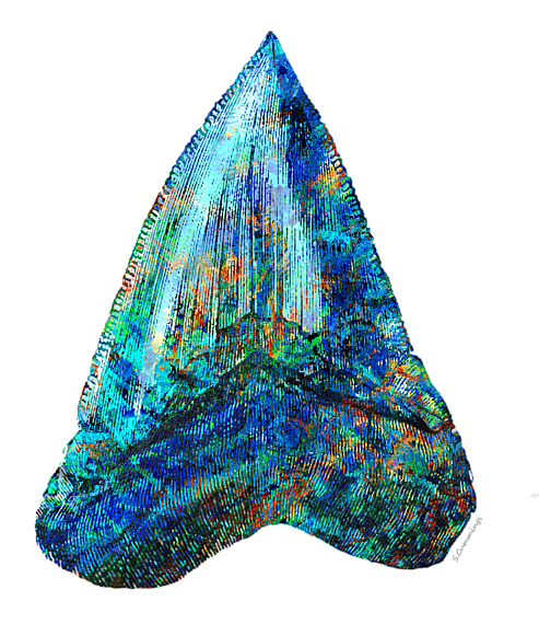 Bleed Area May Not Be Visible - Blue Shark Tooth Art By Sharon Cummings (600x600), Png Download