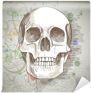 Skull Sketch - Iflight Country Skull - Slim (400x400), Png Download