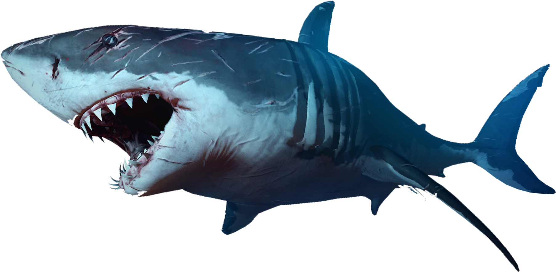 Shark (1920x1080), Png Download