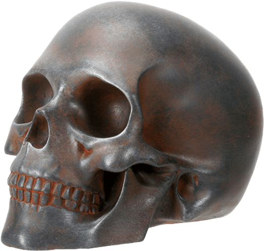 Rusty Red Skull - Skull (555x555), Png Download