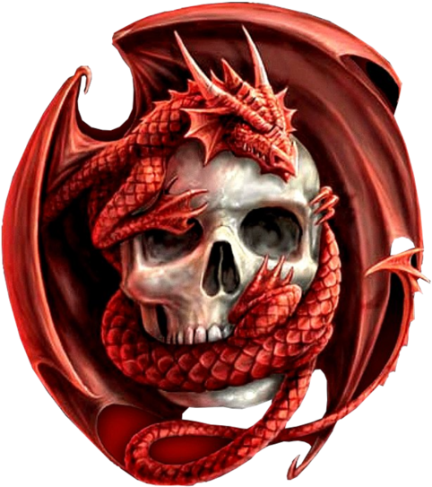 Dragon Skulls - De Dragões Para Papel De Parede (800x600), Png Download