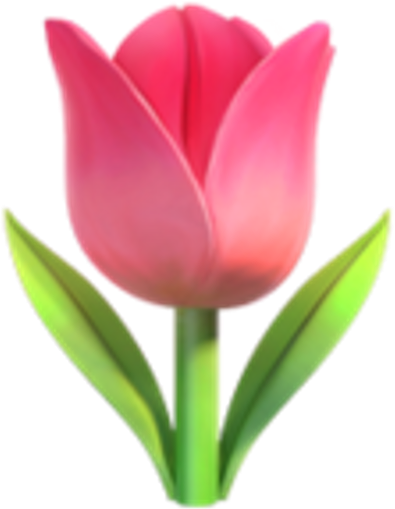 Tulip Emoji (1024x1024), Png Download