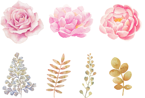 Download Watercolor Flowers Png Transparent Background Printable Watercolor Stickers Png Image With No Background Pngkey Com