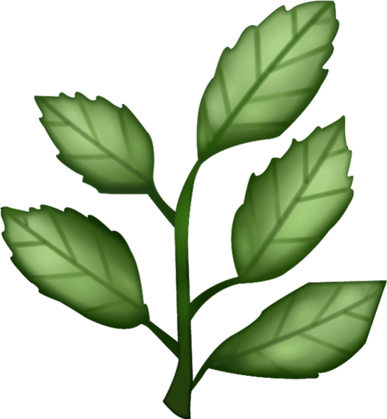 Download Herb Emoji Image In Png - Herb Emoji (554x600), Png Download