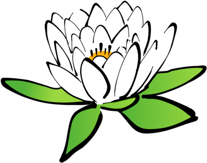 Nelumbo Nucifera Line Art Download Drawing - Nénuphar Clipart (438x340), Png Download