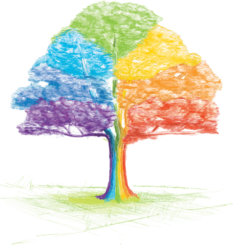 Arbol - Arbol De Cooperativa Png (477x503), Png Download