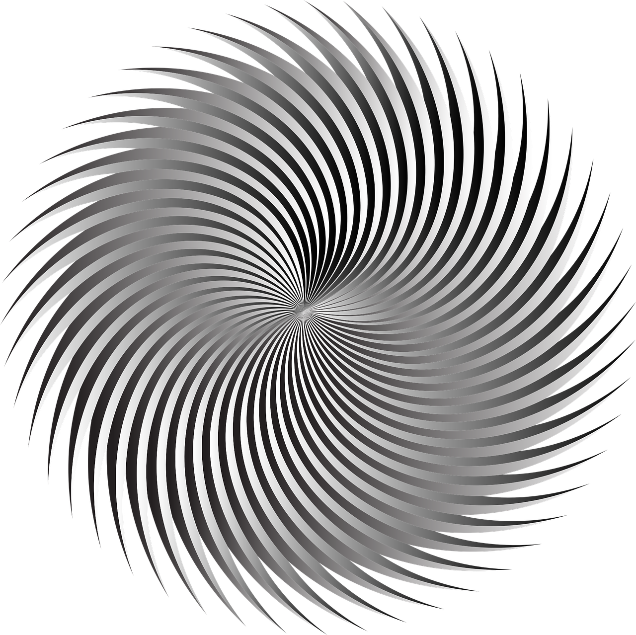 Clipart Grayscale Abstract Flower - Field Evangelion (780x778), Png Download