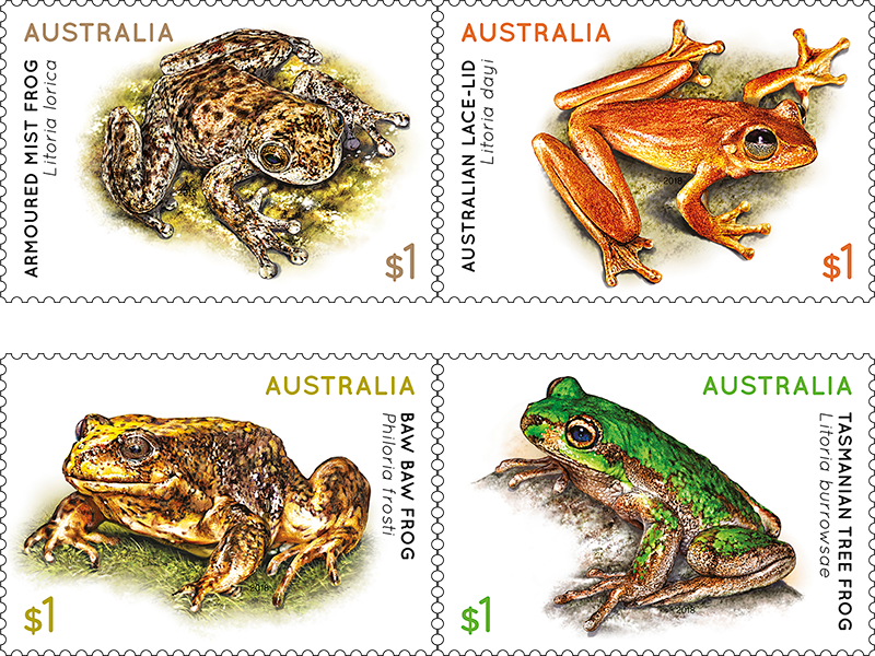 Set Of Frogs Gummed Stamps (800x600), Png Download