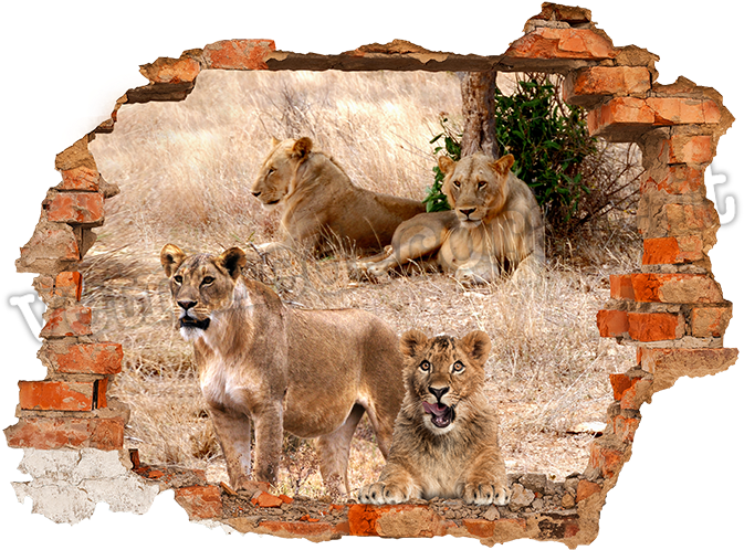 Wall Hole Png Graphic Download - Adhesive 3d 125 Cm X 100 Cm Panther (700x825), Png Download