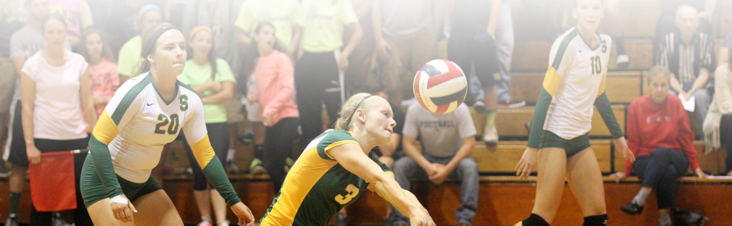 Interior Faculty Hero 1 - Volleyball (1500x464), Png Download