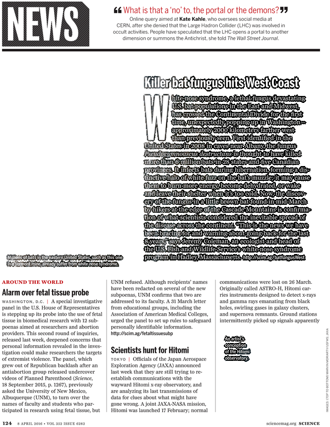 Document (729x929), Png Download